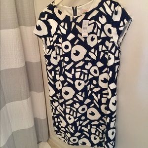 Ann Taylor LOFT Geometric Navy and White Dress